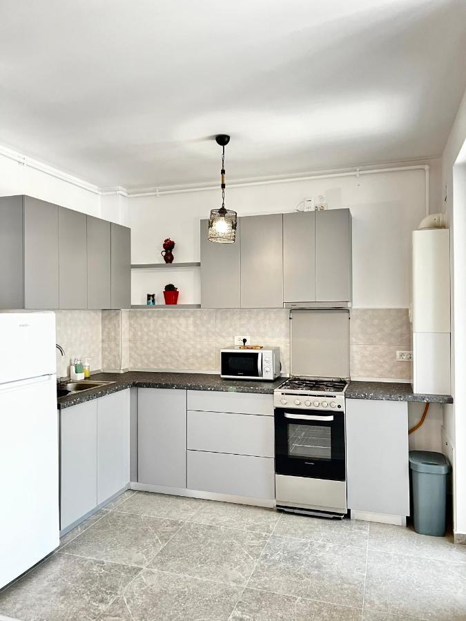 Apartment Mara 2 Temeşvar Dış mekan fotoğraf