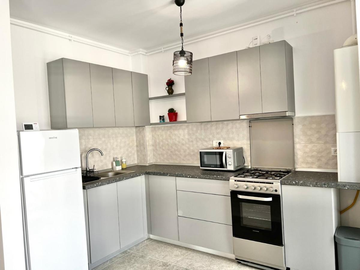 Apartment Mara 2 Temeşvar Dış mekan fotoğraf