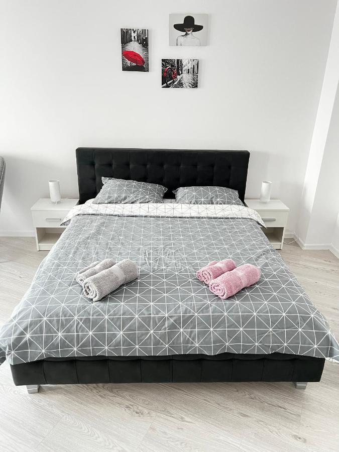 Apartment Mara 2 Temeşvar Dış mekan fotoğraf