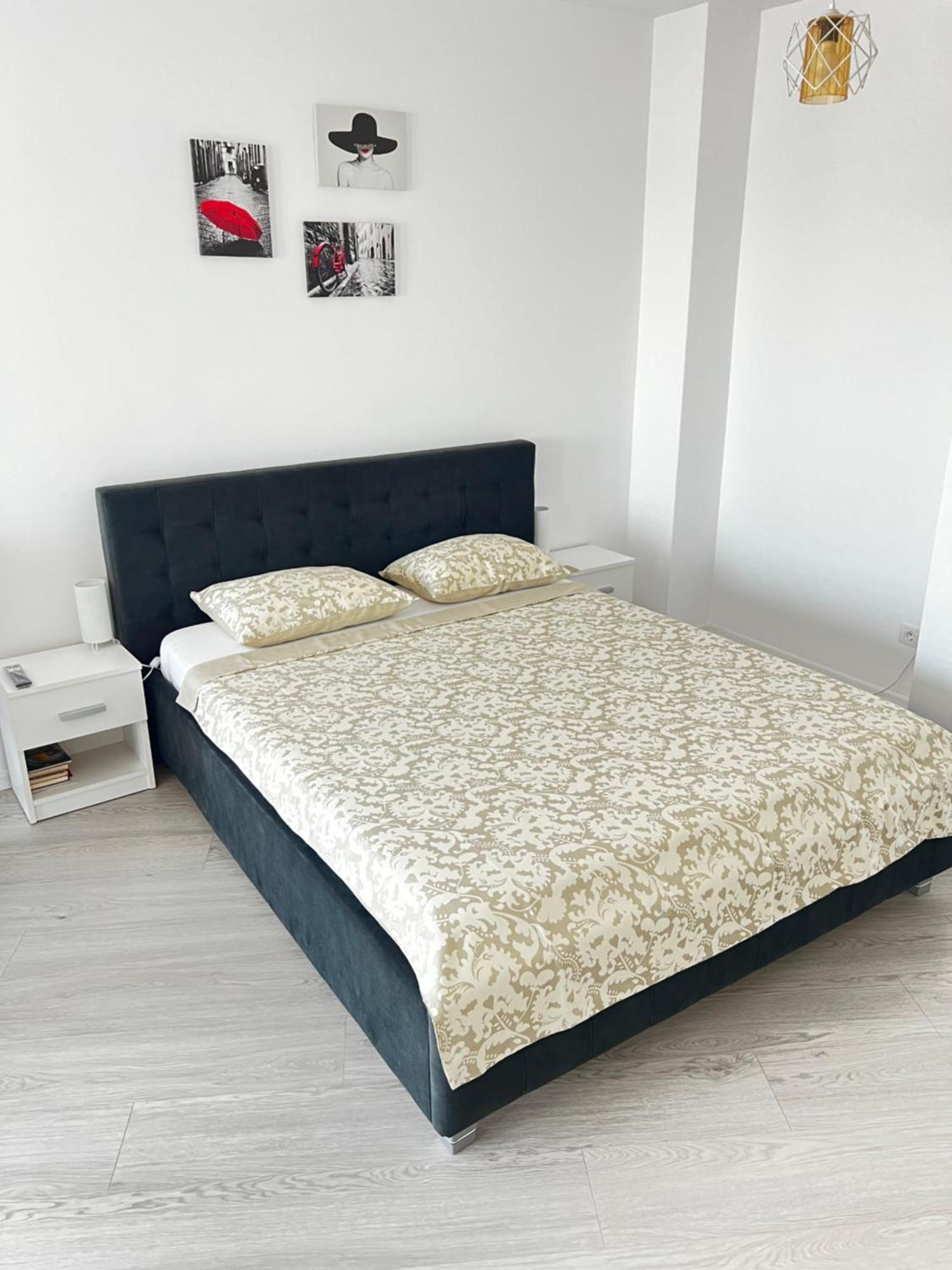Apartment Mara 2 Temeşvar Dış mekan fotoğraf